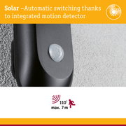Black motion detector with integrated solar sensor for automatic outdoor lighting control