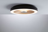 Round ceiling light with black metal frame and warm white LED for modern home lighting