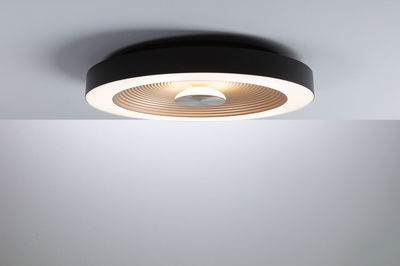 Round ceiling light with black metal frame and warm white LED for modern home lighting