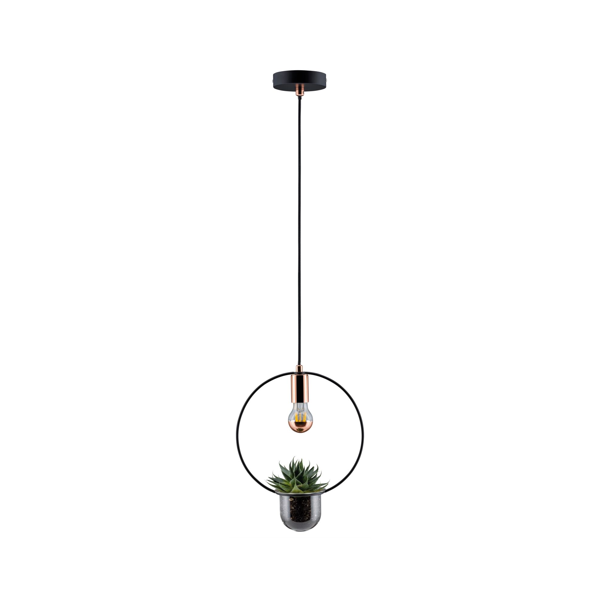 Moderne hanglamp met zwarte metalen ring, koperen fitting en geïntegreerde plantenpot voor kamerplanten.