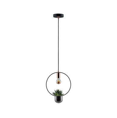 Suspension moderne avec anneau en métal noir, douille en cuivre et pot intégré pour plantes d'intérieur.