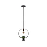Moderne Pendelleuchte mit schwarzem Metallring, Kupferfassung und integriertem Pflanzgefäß für Zimmerpflanzen.