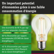 Ampoule LED économique à verre transparent et base argentée sur fond vert et bleu