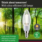 Clear candle-shaped LED bulb with warm white light and ultra-efficient energy use in forest background