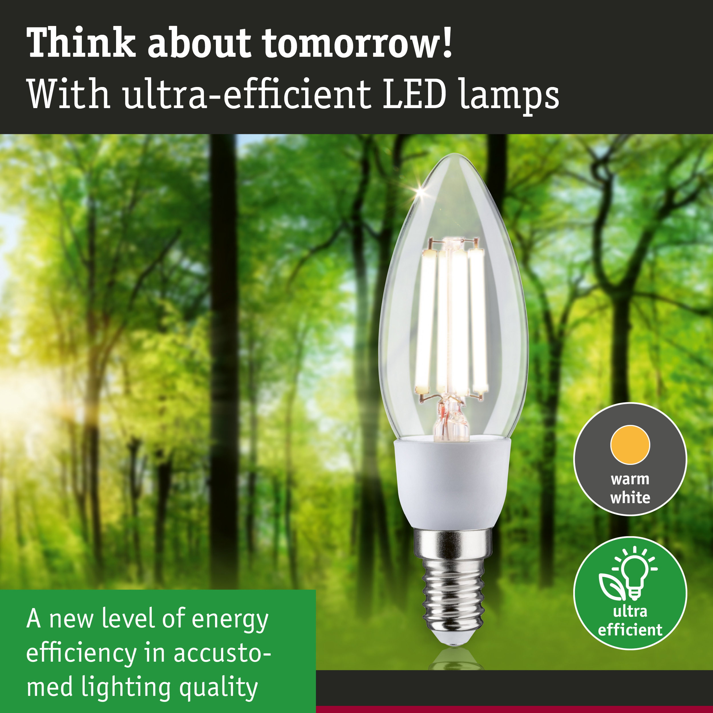 Clear candle-shaped LED bulb with warm white light and ultra-efficient energy use in forest background