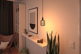 Black metal pendant light with warm glow in modern living room featuring plants and decor