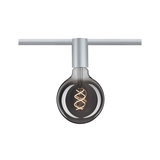 Smoked glass LED bulb with spiral filament in silver track for modern indoor lighting