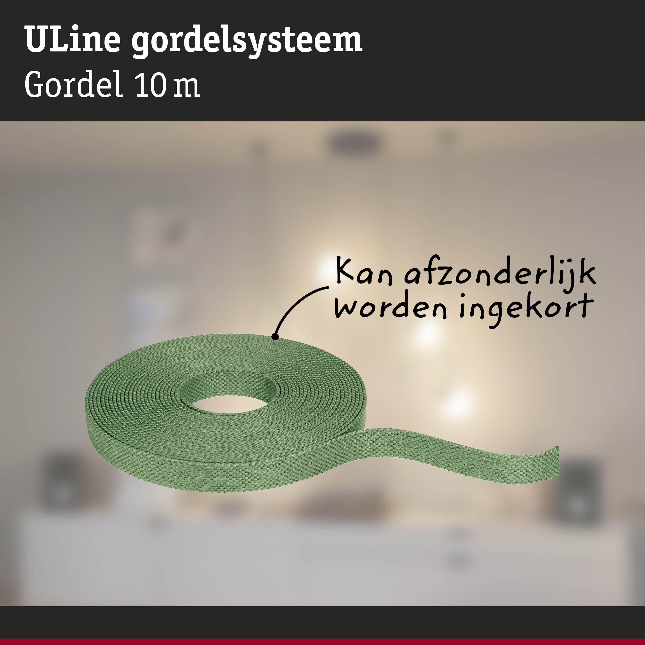 Groene ULine 10 m gordel van duurzaam materiaal voor veelzijdige bevestigingen en toepassingen