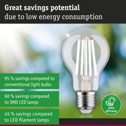 Energy-saving LED light bulb with clear glass and silver base for eco-friendly lighting solutions
