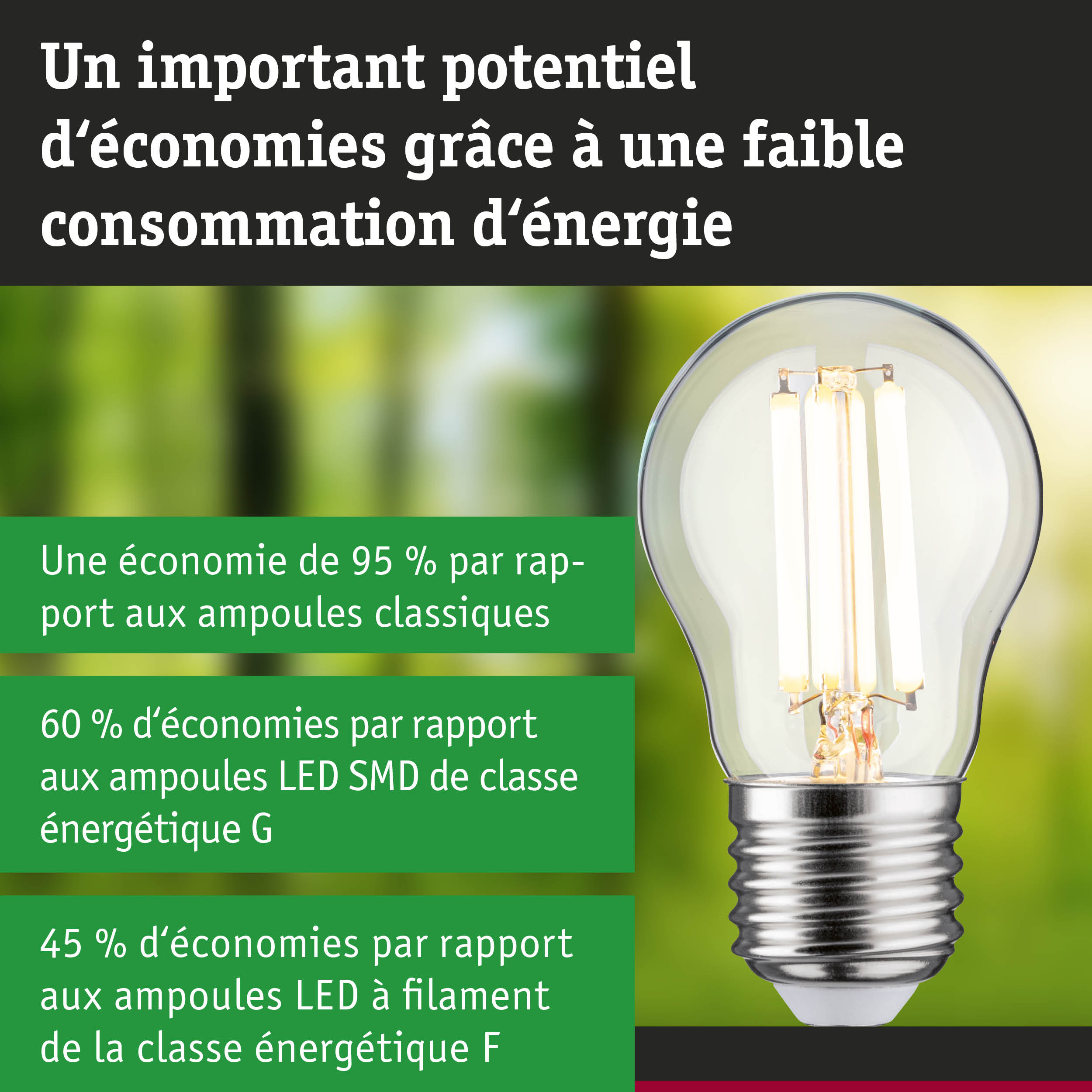 Ampoule LED économique avec verre transparent et base argentée pour un éclairage durable