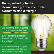 Ampoule LED économique avec verre transparent et base argentée pour un éclairage durable