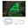 Strip USB LED Neon Colorflex Vert 1m 4,5W 10lm/m 120 LEDs/m 3000K Lumière LED néon verte en forme de dinosaure avec câble USB et clips pour éclairage décoratif