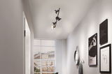 Black ceiling spotlight with four adjustable lamps in a modern hallway with mirror and wall art.