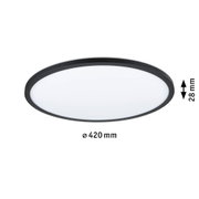 Runde LED-Deckenleuchte mit schwarzem Metallrahmen und weißem Diffusor, energiesparende Beleuchtung