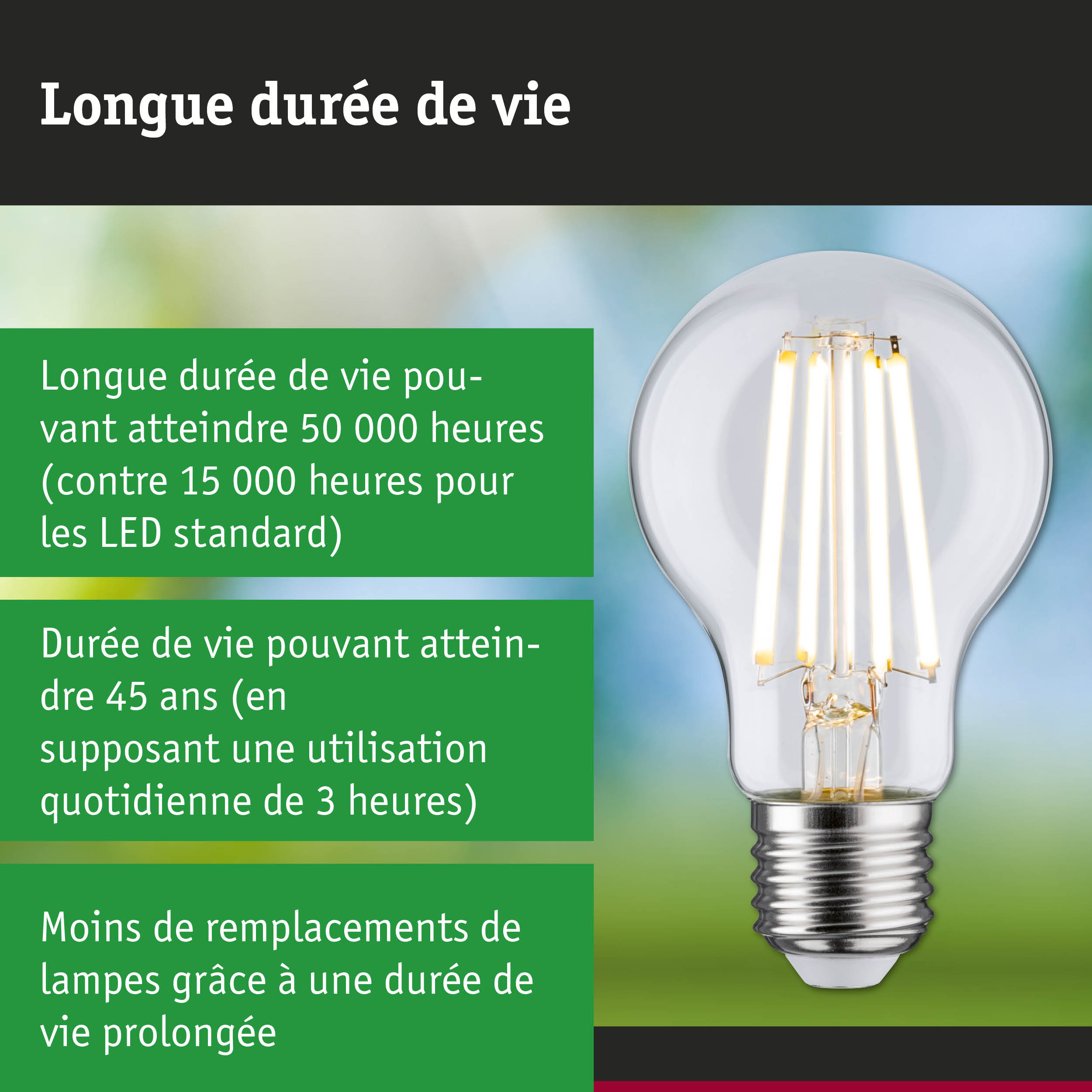 Ampoule LED à longue durée de vie et technologie économique tenue en main sur fond vert