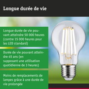 Ampoule LED à longue durée de vie et technologie économique tenue en main sur fond vert