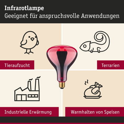 Rote Infrarotlampe für Tieraufzucht, Terrarien, industrielle Erwärmung und Speisen warmhalten