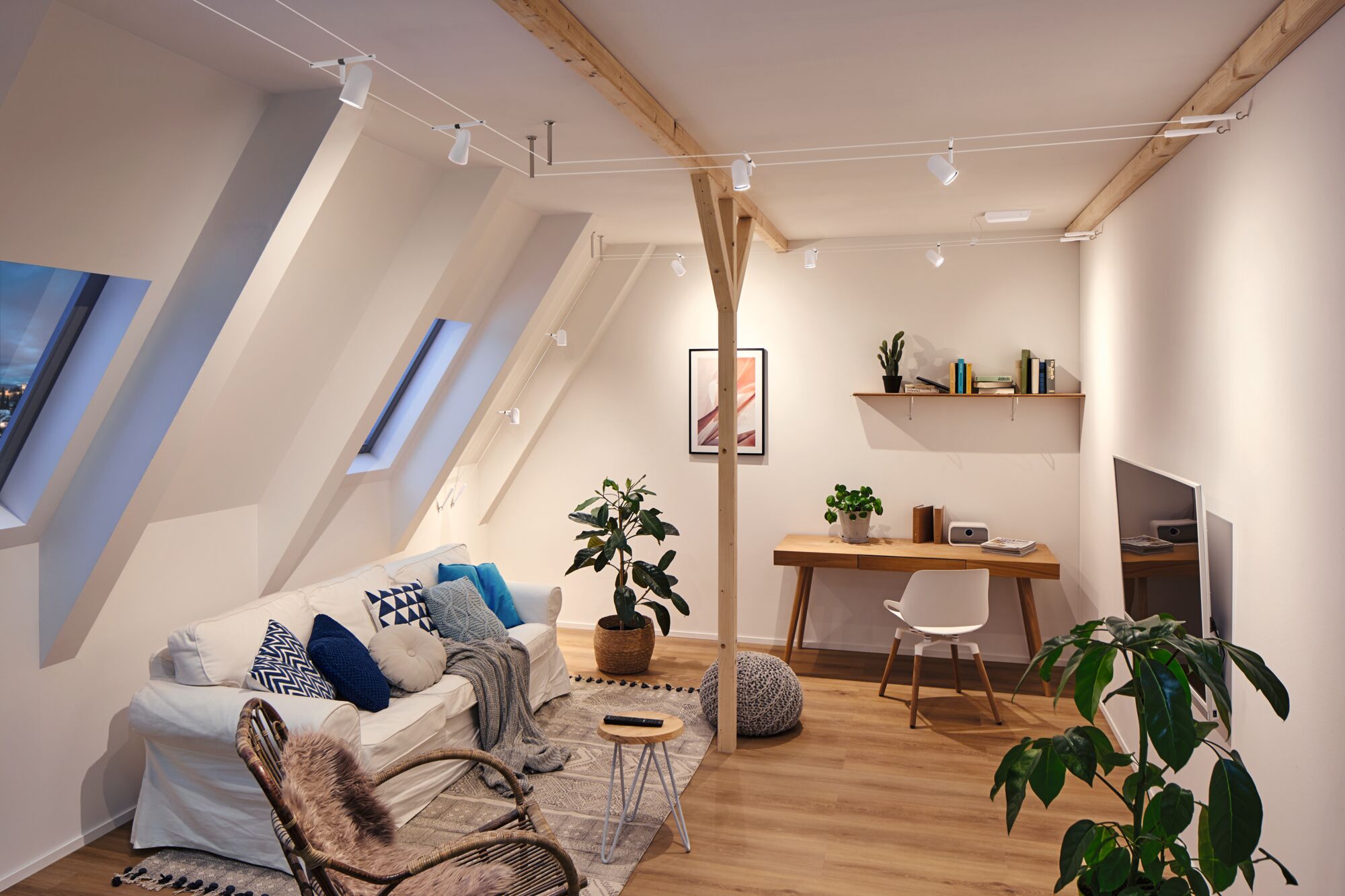 Modern living room with white sofa, wooden floor, plants and white cable track lighting with spotlights