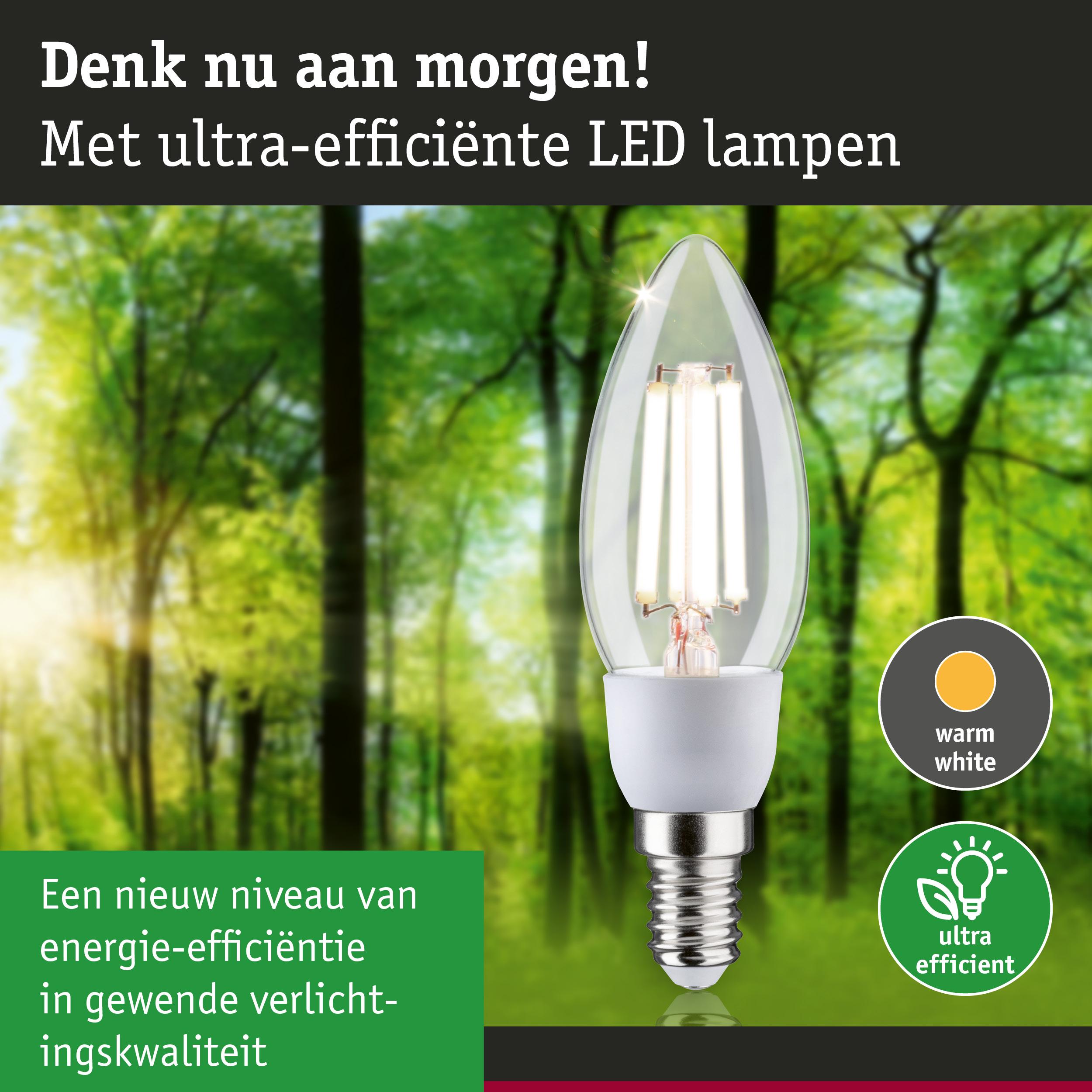 Transparante LED-lamp met warm wit licht en ultra-efficiënte energie voor bosachtergrond