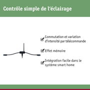 Capteur de contrôle d'éclairage LED noir avec antenne et piquet de terre pour systèmes domotiques