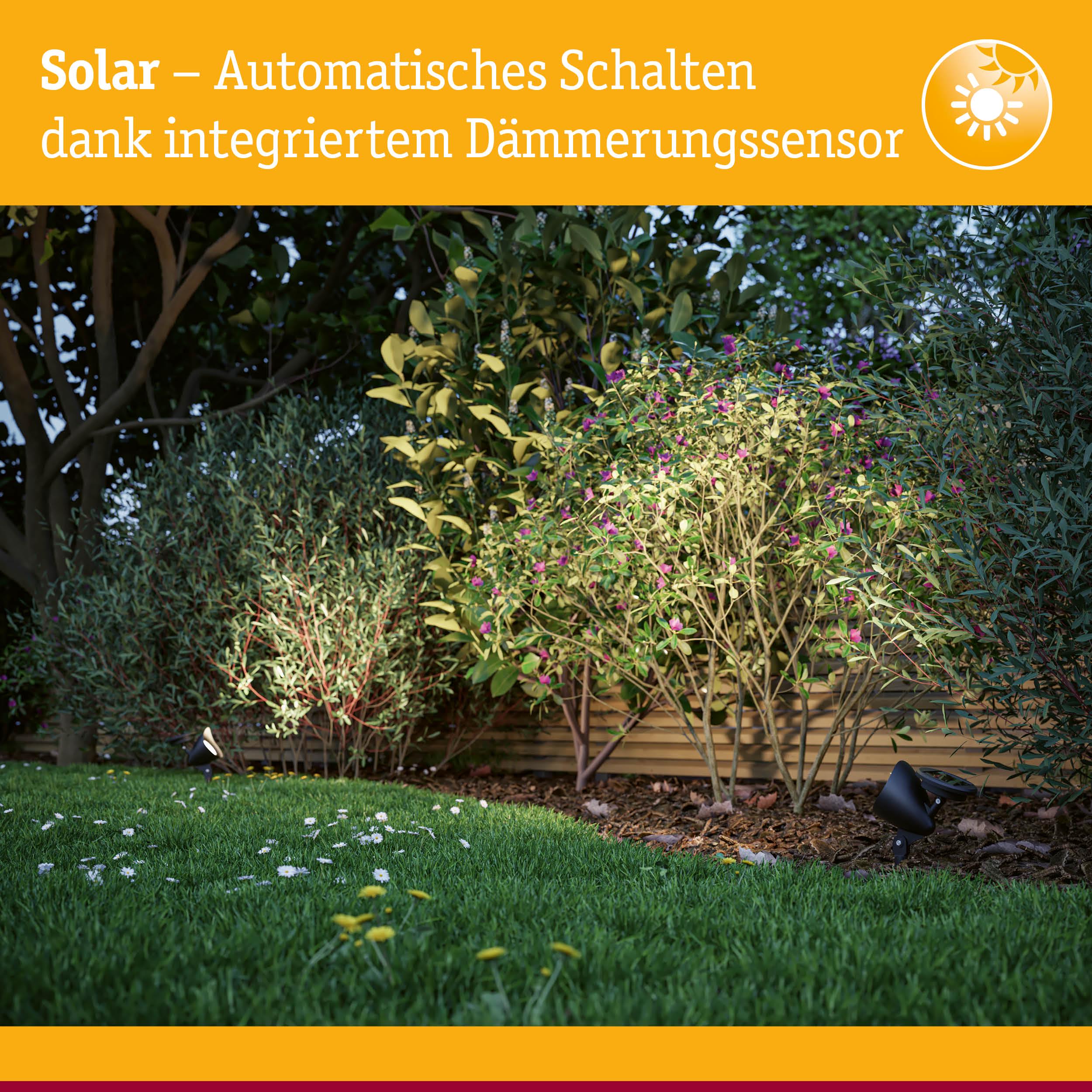 Solarbetriebene Gartenleuchten mit automatischem Dämmerungssensor beleuchten grüne Büsche und Rasen bei Nacht