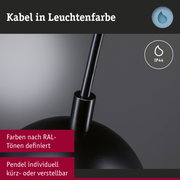 Schwarzes Pendel mit flexiblem Kabel und IP44 Schutz, individuell kürz- oder verstellbar, RAL-Farben