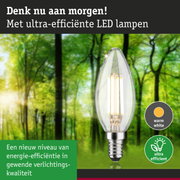 Transparante LED-lamp met warm wit licht en ultra-efficiënte technologie tegen groene bosachtergrond