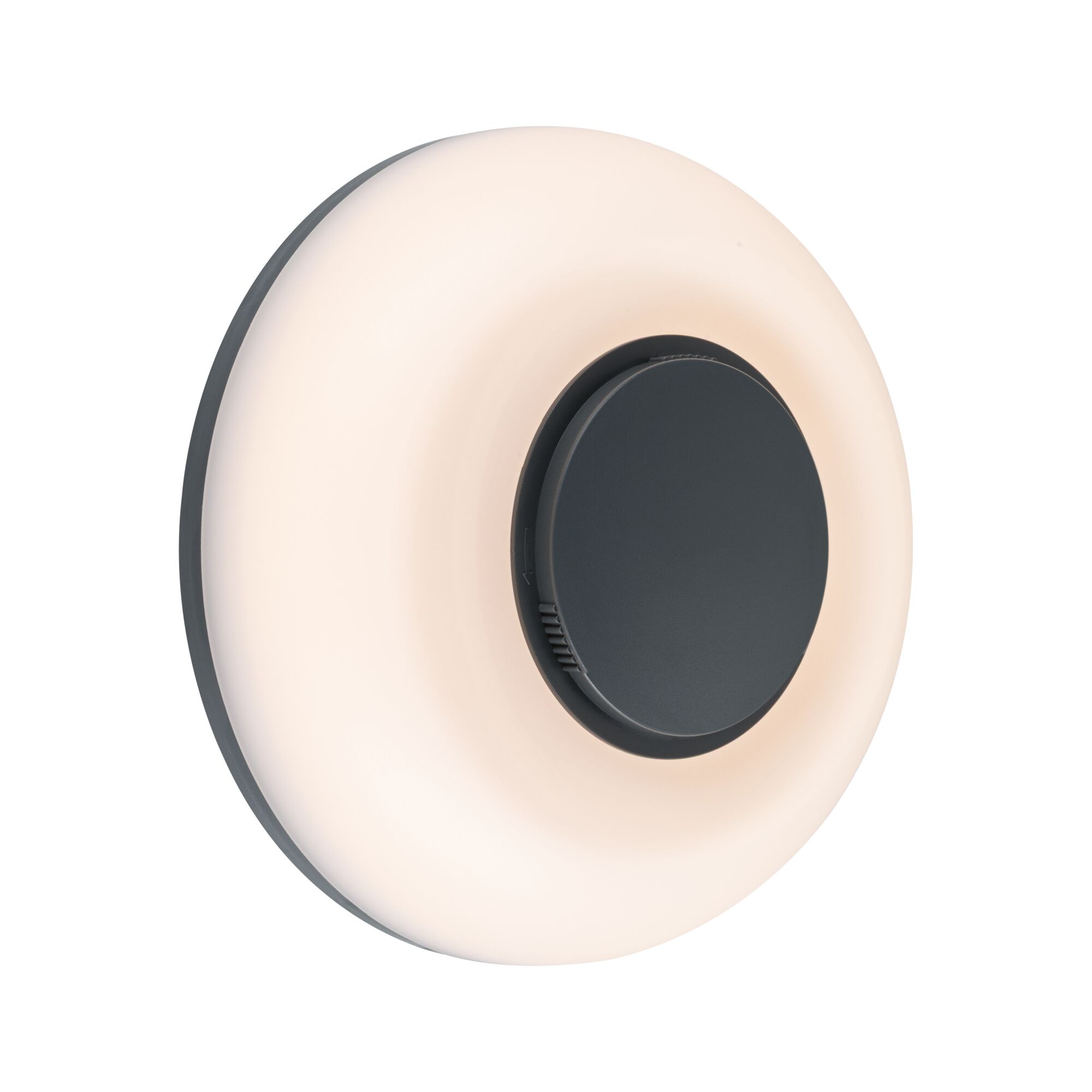 Applique d'extérieur LED Aureva IP65 rond 220mm 2200 - 4000K 20,5W 1730lm 230V Anthracite/Blanc Polycarbonate