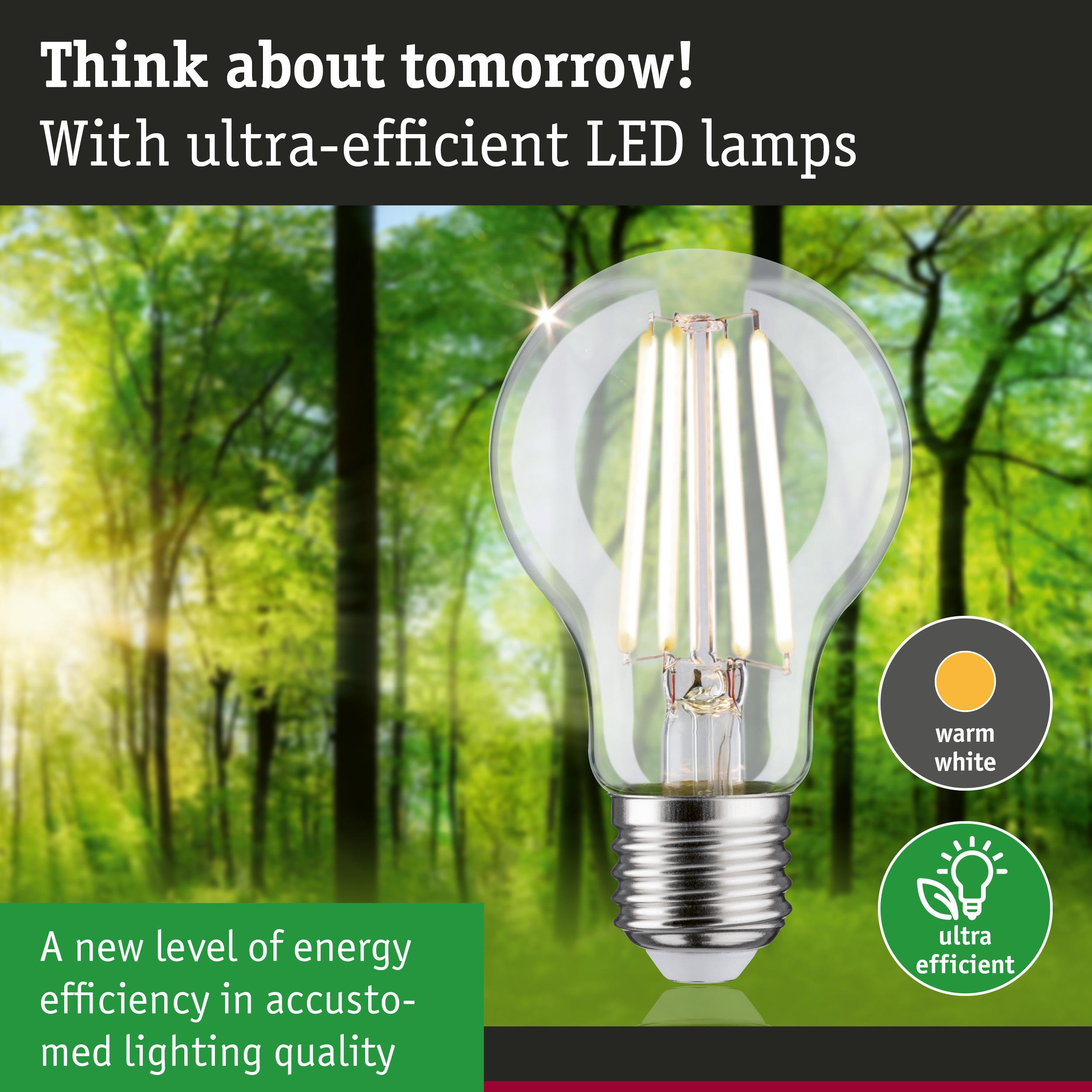 Clear LED bulb with warm white light and ultra-efficient energy use against green forest background