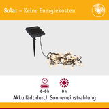 Solarbetriebene LED-Lichterkette mit schwarzem Solarpanel und warmweißen Kugellichtern für Außenbeleuchtung
