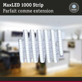 Bande LED MaxLED 1000 flexible en blanc lumière du jour pour un éclairage intérieur lumineux