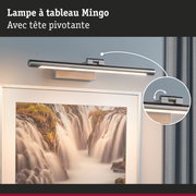 Lampe à tableau Mingo en acier inoxydable brossé avec tête pivotante pour éclairage mural