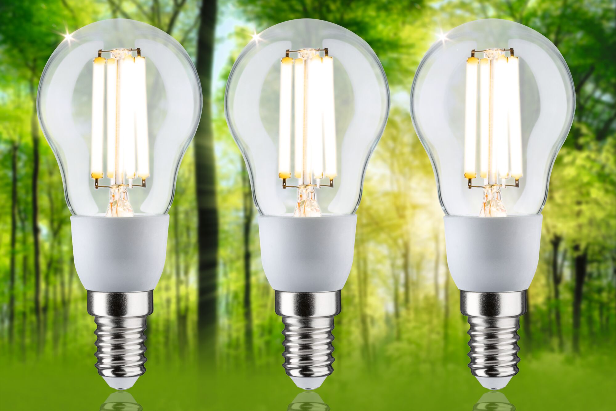 Three clear glass LED bulbs with E14 base in front of green forest background for energy-saving lighting