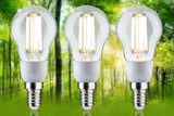 Three clear glass LED bulbs with E14 base in front of green forest background for energy-saving lighting