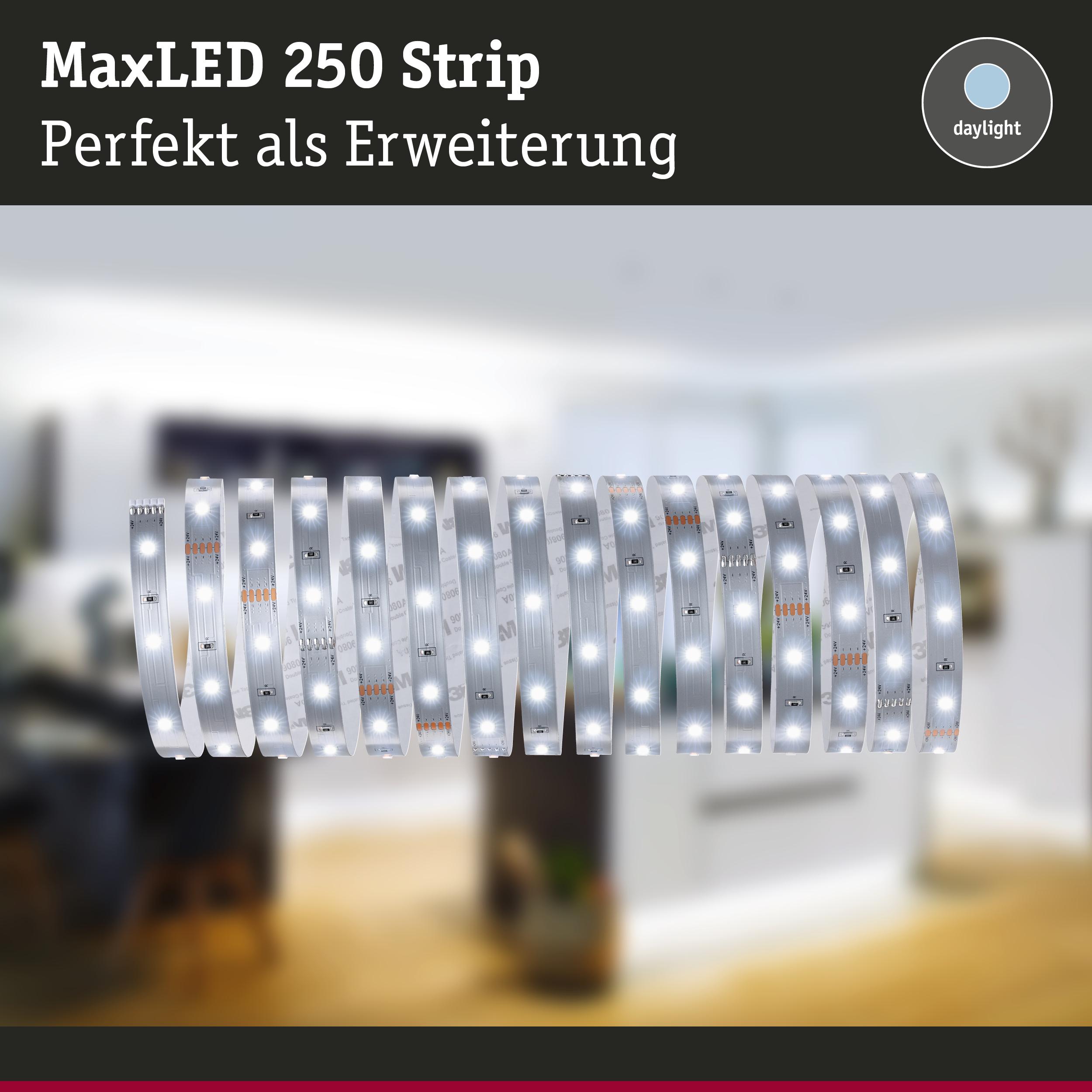 MaxLED 250 Strip LED-Lichtband in Tageslichtweiß als Erweiterung für Wohnraumbeleuchtung