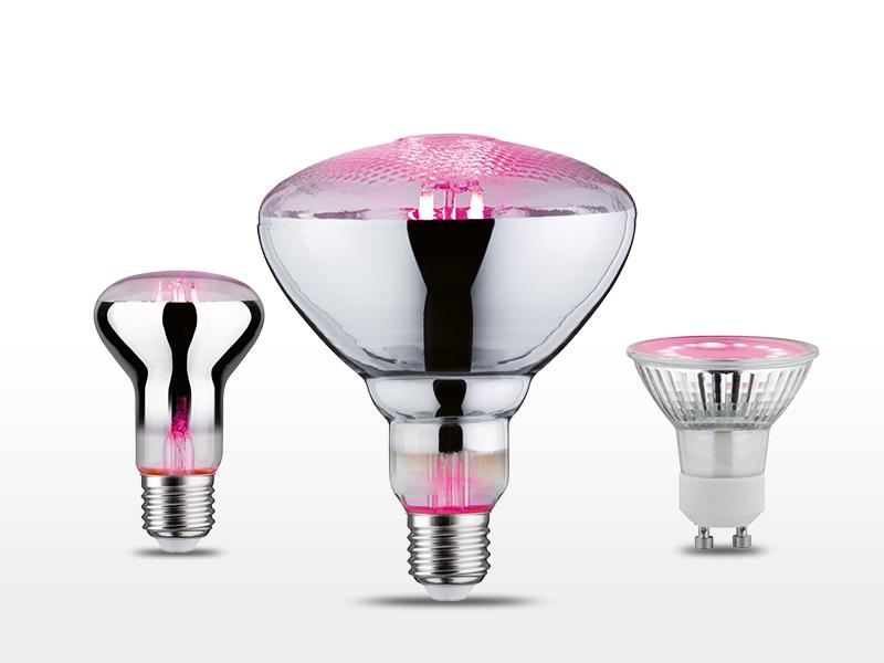 Tre dekorative GrowGreen LED-pærer med sølvfinish og pink lys til plantebelysning.