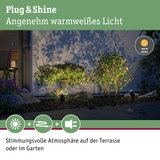 Warmweißes LED-Gartenlicht beleuchtet grüne Sträucher und schafft stimmungsvolle Terrasse und Gartenatmosphäre