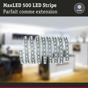 Bande LED MaxLED 500 en blanc lumière du jour, éclairage LED flexible pour intérieur