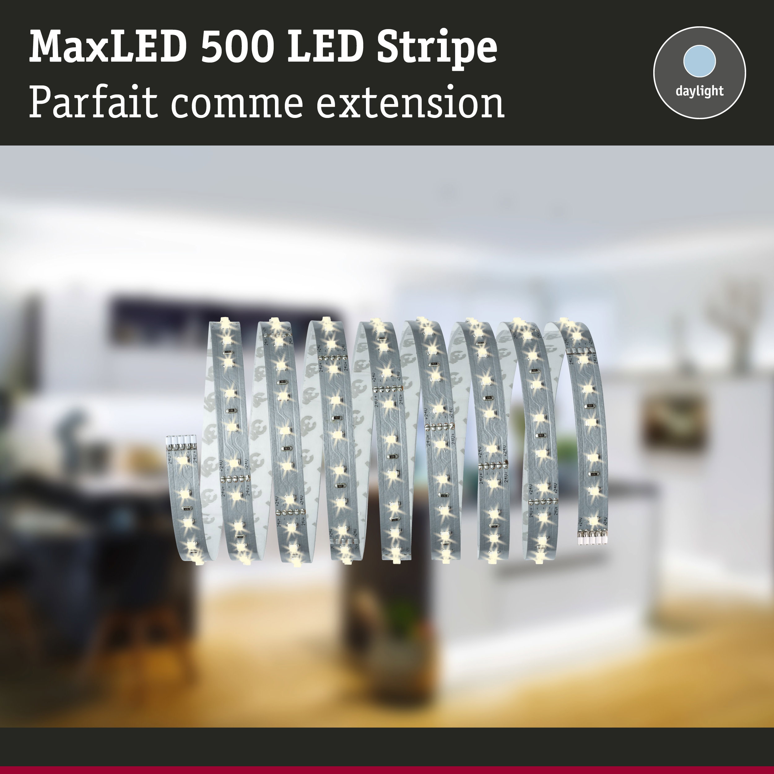 Bande LED MaxLED 500 en blanc lumière du jour, éclairage LED flexible pour intérieur