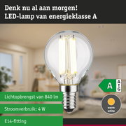 Transparante LED-lamp met neutraal wit licht en ultra-efficiënt energieverbruik tegen groene bosachtergrond