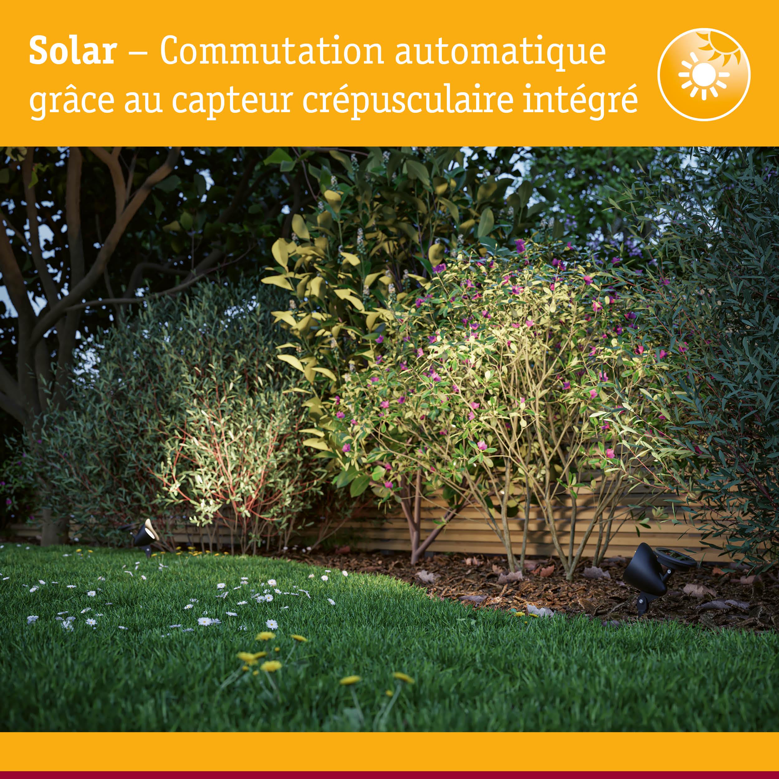 Projecteur solaire de jardin noir avec capteur crépusculaire automatique pour éclairage extérieur