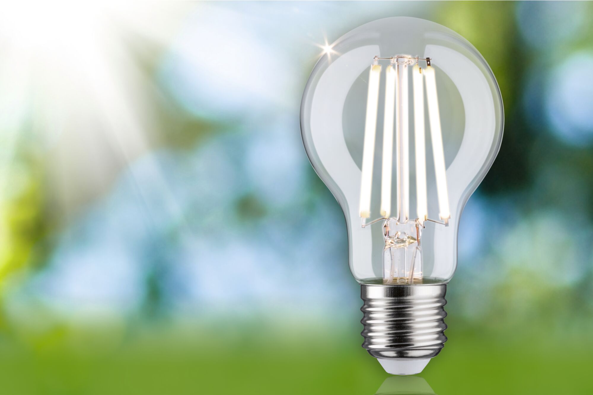 LED-Glühbirne mit klarem Glas und silbernem Sockel vor unscharfem grün-blauem Hintergrund