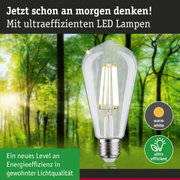 Klarer LED-Leuchtmittel mit warmweißem Licht und hoher Energieeffizienz vor grünem Waldhintergrund