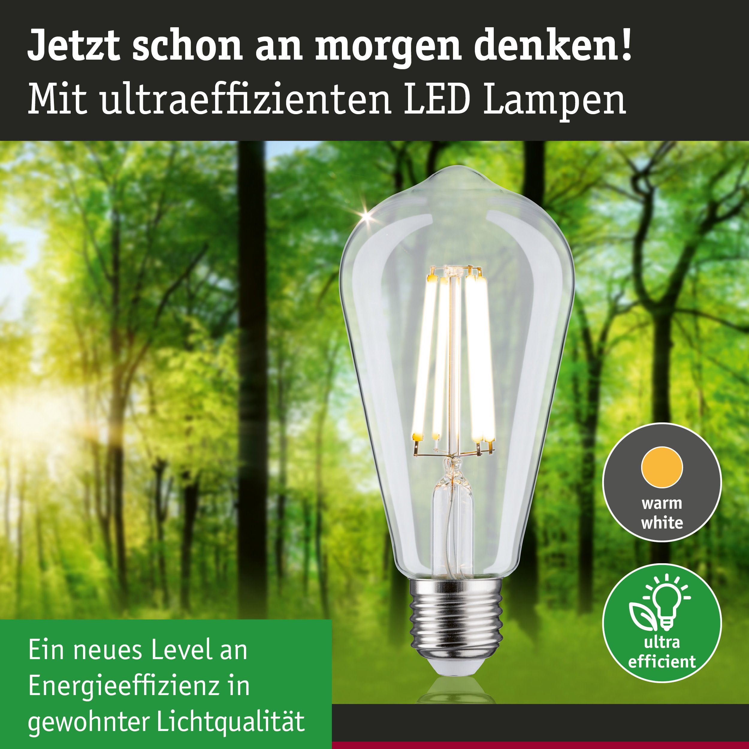 Klarer LED-Leuchtmittel mit warmweißem Licht und hoher Energieeffizienz vor grünem Waldhintergrund