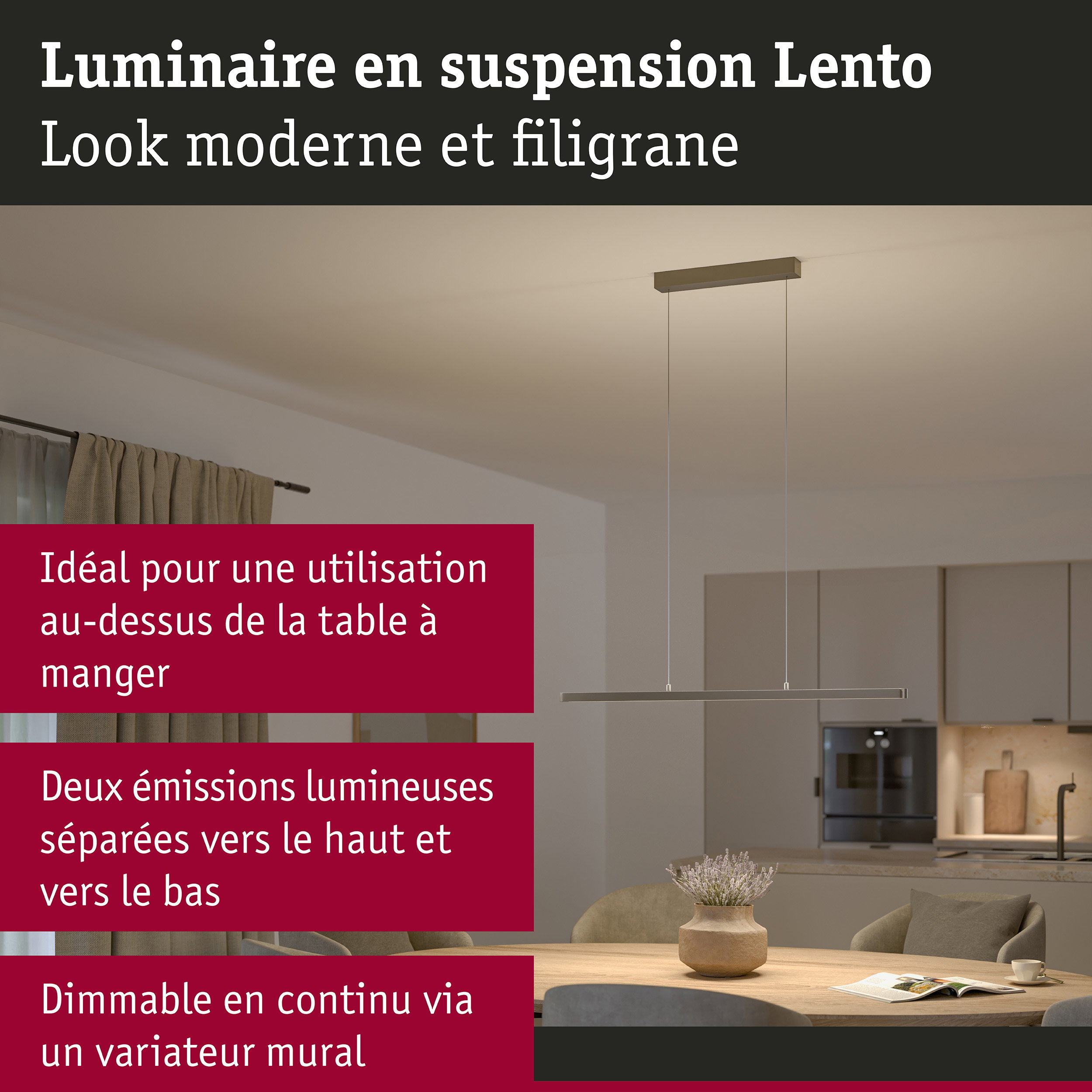 Luminaire en suspension LED Lento 2700K 2200lm 36W Titanium