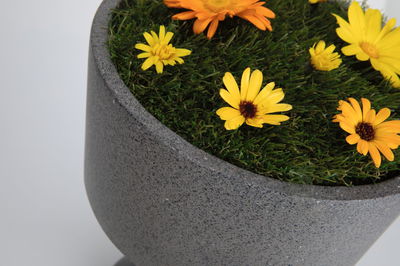 Grijze stenen pot met kunstmatig groen gras en gele en oranje bloemen als decoratie
