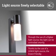 Black metal outdoor wall light with white glass, dimmable and smart control feature
