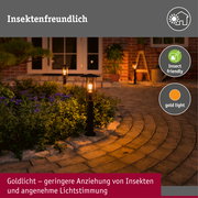 Pollerleuchte Classic insektenfreundlich IP44 500mm 2200K 4,3W 420lm 230V Schwarz E27 Metall