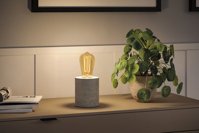 Moderne bordlampe med grå betonfod og varm hvid LED-pære på skænk ved siden af plante.