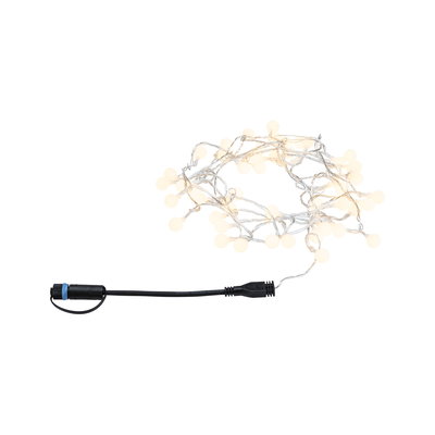 LED string lights with warm white bulbs on transparent wire and black connector cable